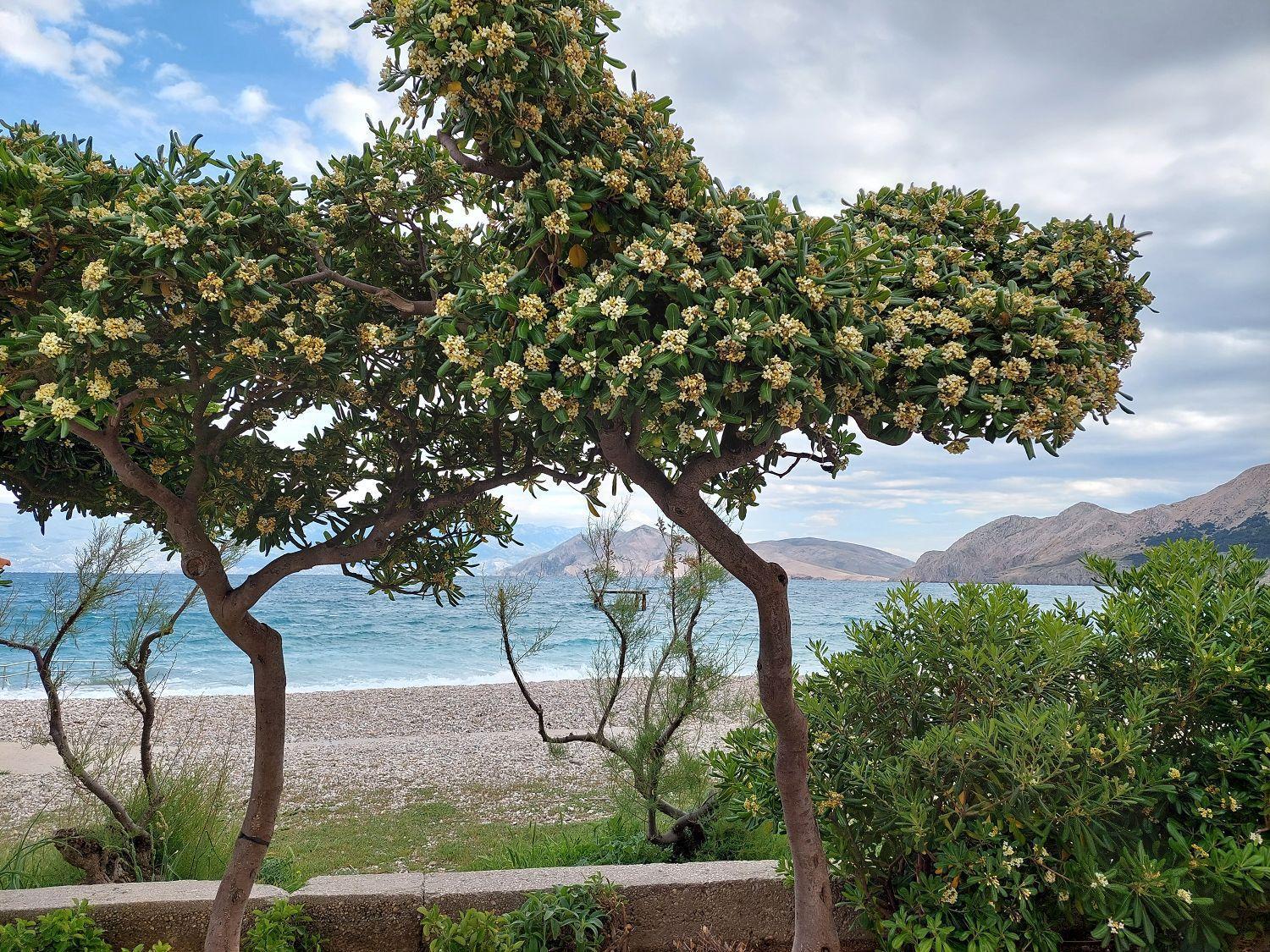 Erste Reihe Zum Meer Baška Esterno foto